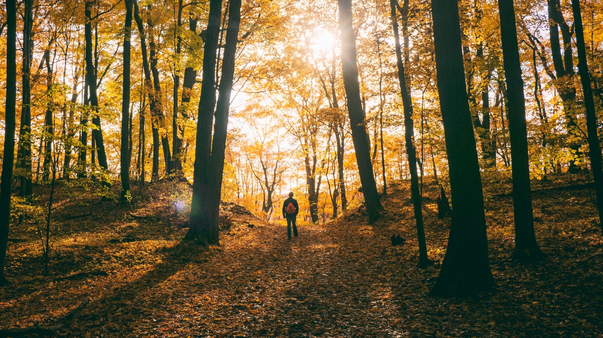 Battling Fall Dryness: Essential Foot Care in Colder Months
