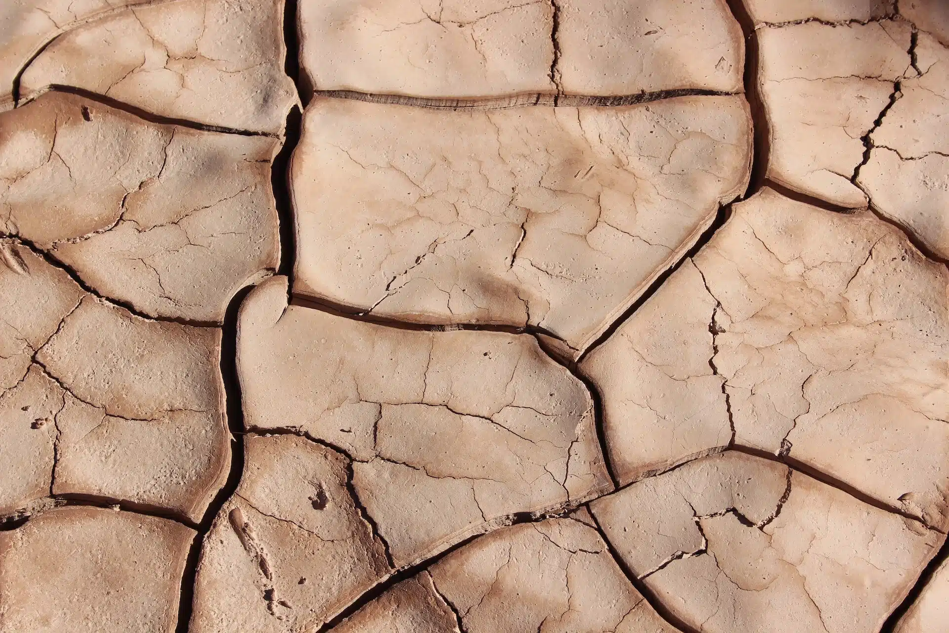 A desert floor showing dryness and cracks in the sand