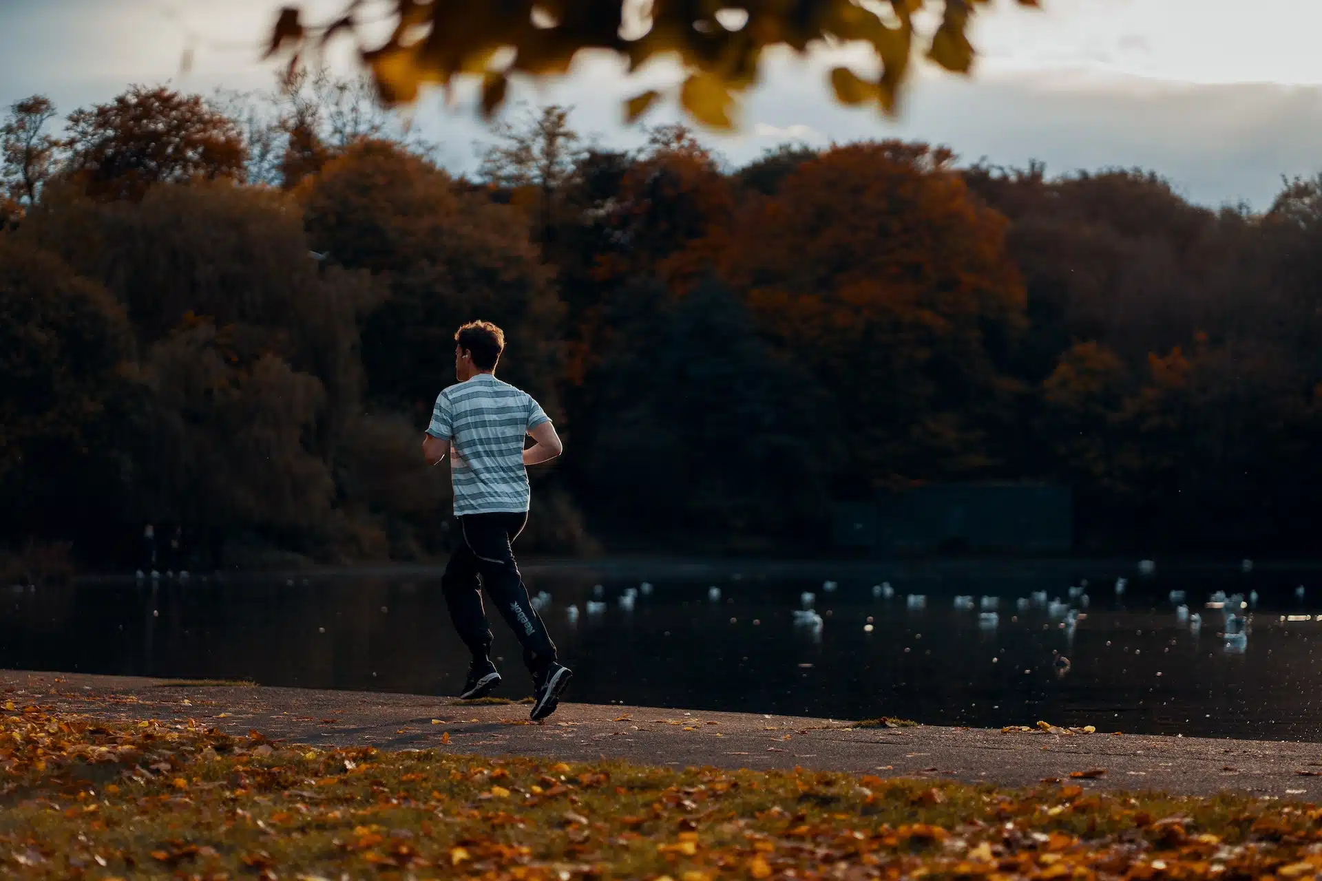 A runner running into the distance in a park