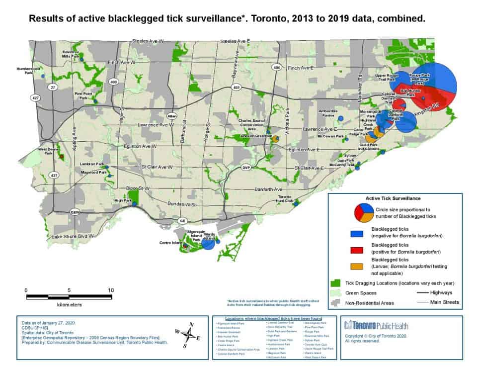 City of Toronto Map Showing Tick Population