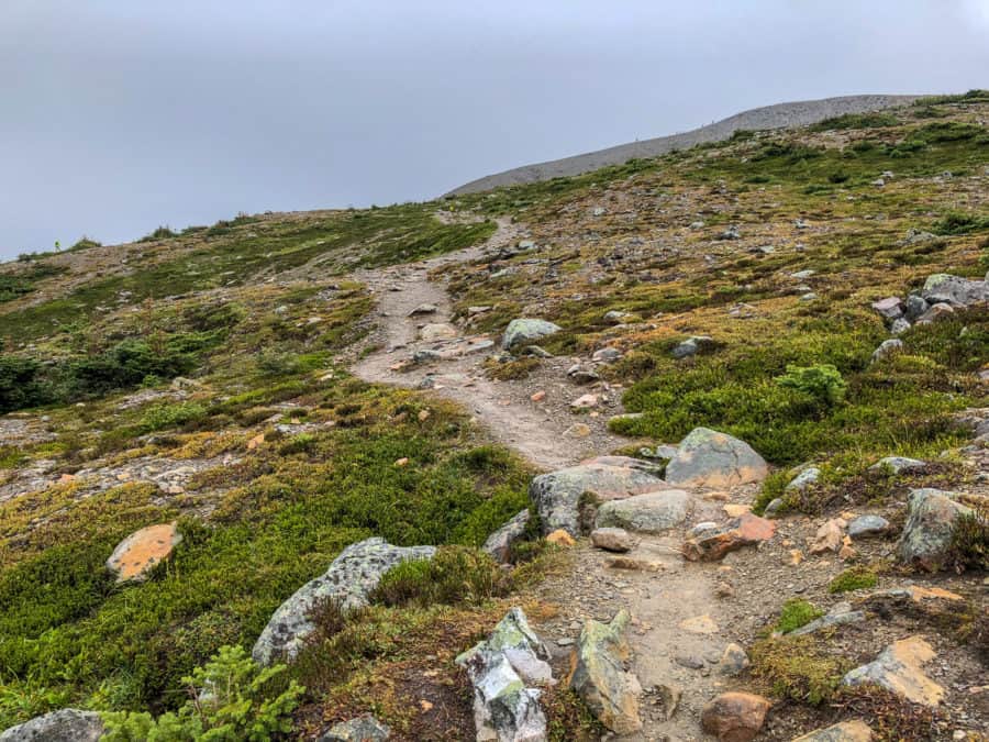 Trail Running Injuries