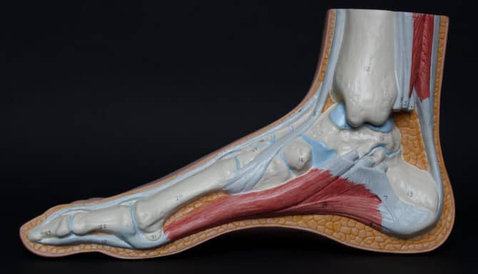 Tarsal Tunnel Syndrome: Carpal Tunnel In Your Foot - Feet First Clinic