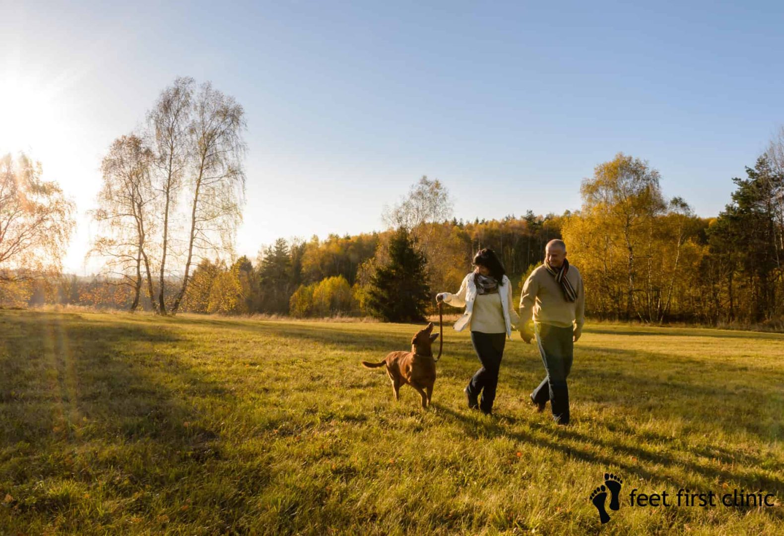 dog walking featured image