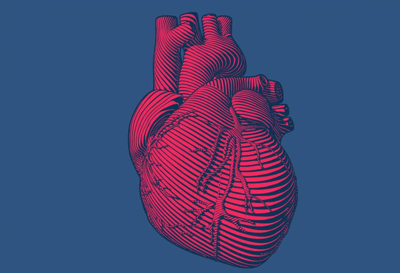 Engraving red human heart modern style on blue BG