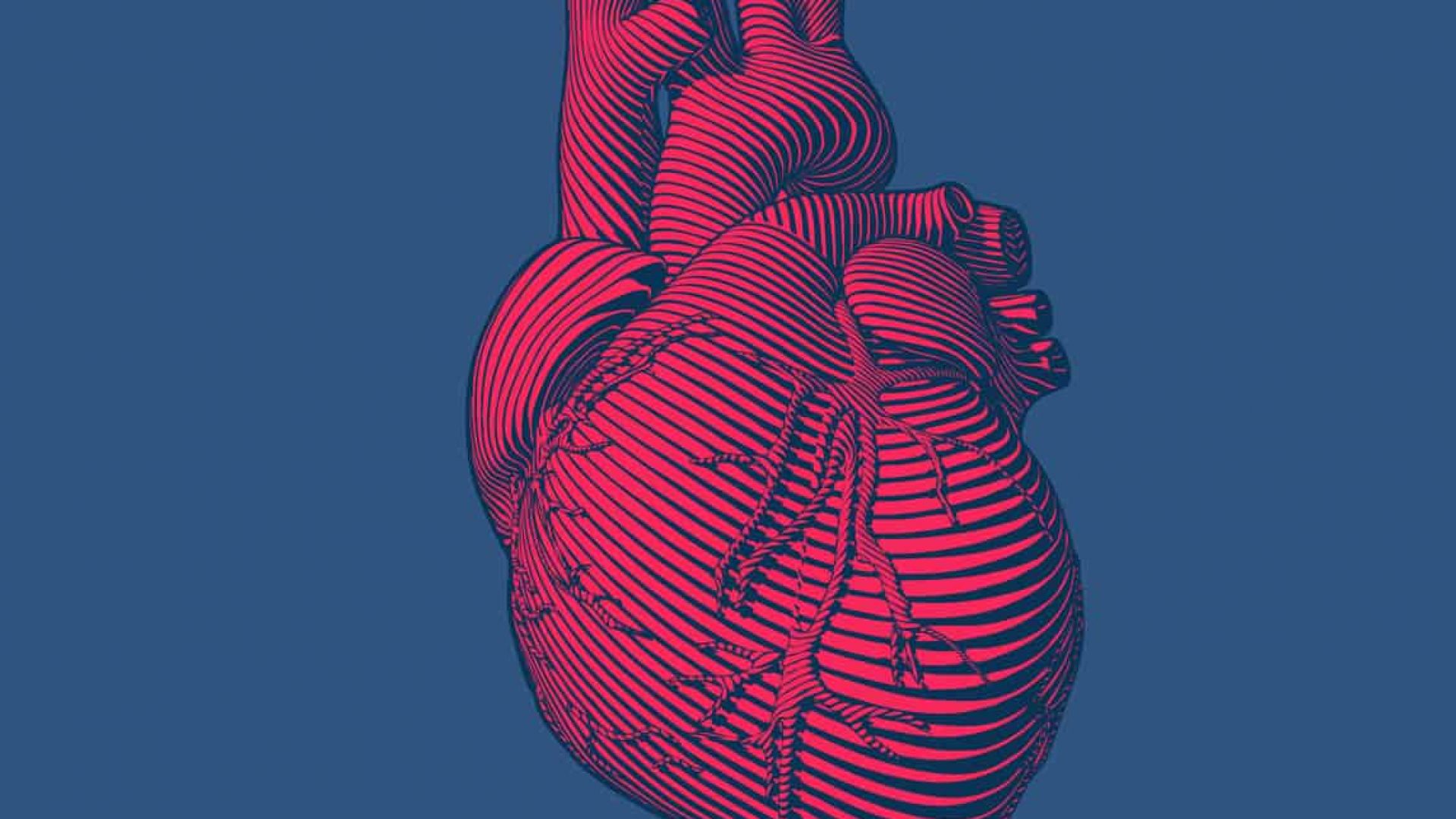 Engraving red human heart modern style on blue BG