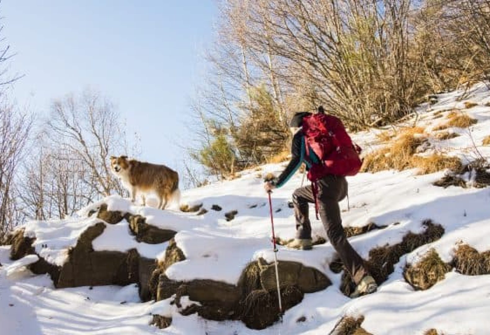 tornot hiking