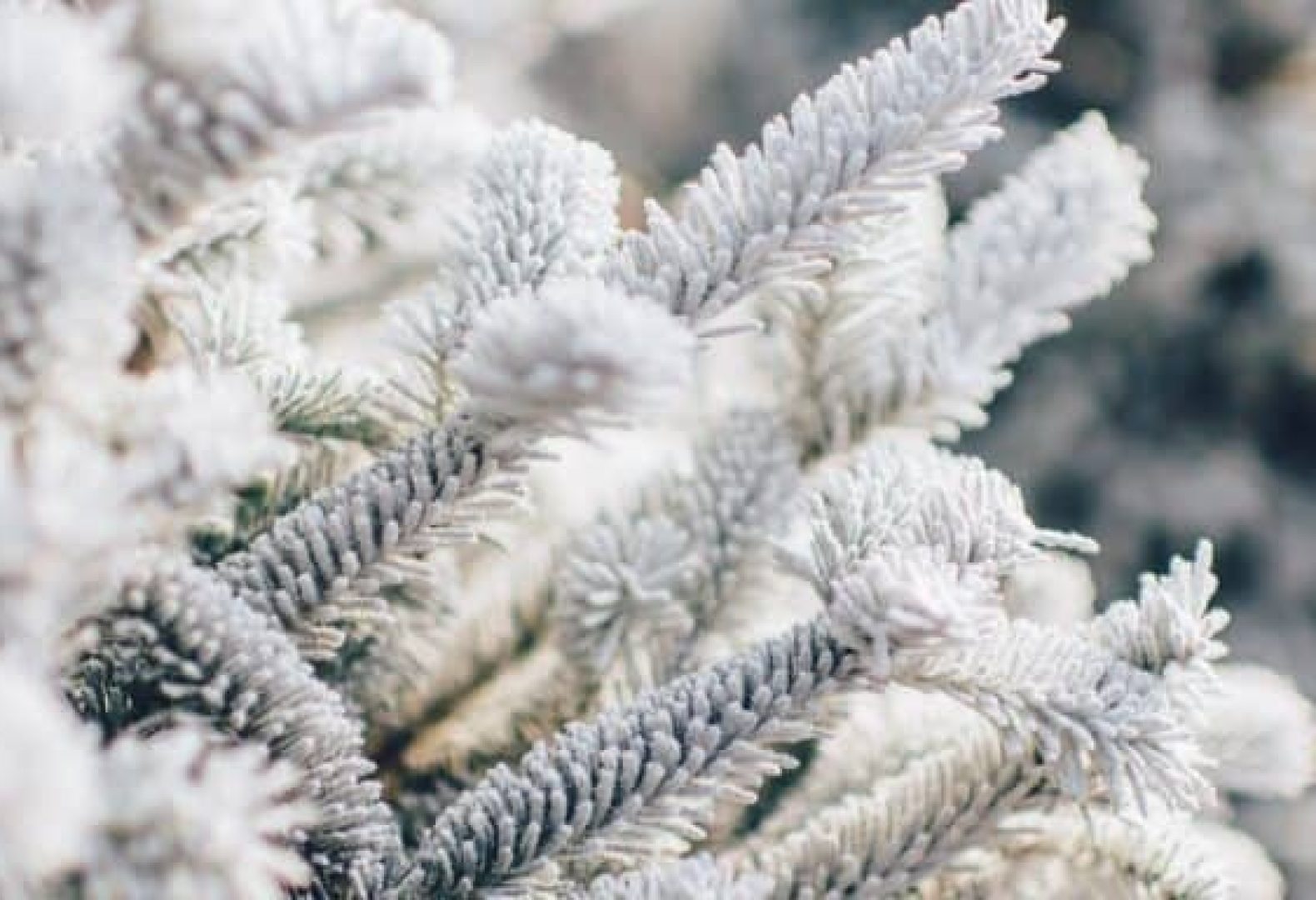 winter-dry-skin-how-to-beat-it-670x384
