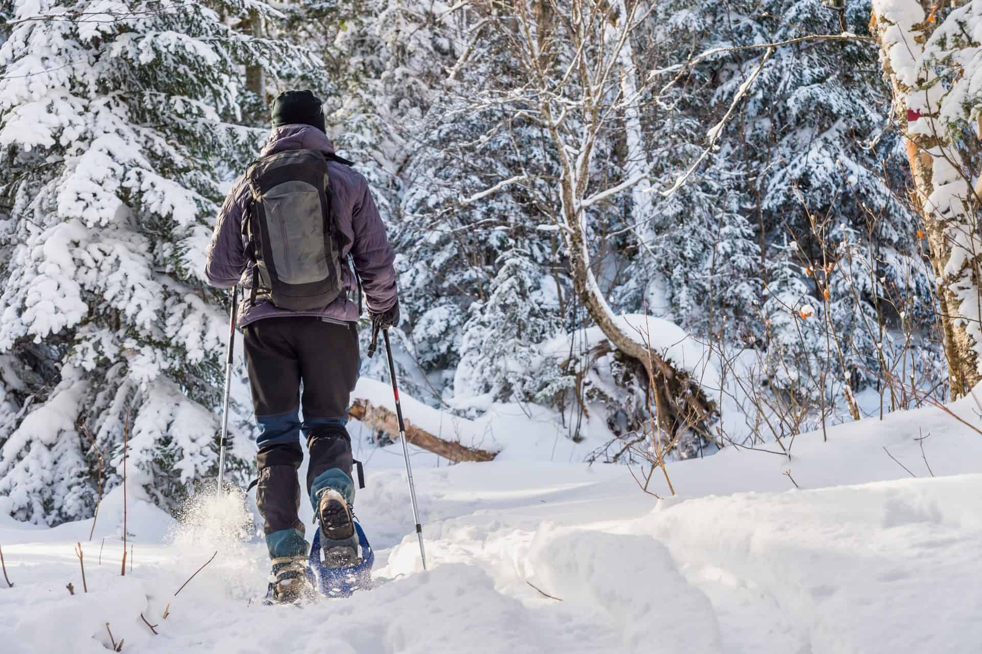 Toronto Trails for Winter Hikes - Feet First Clinic