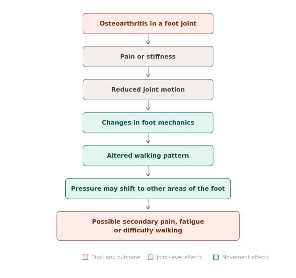 Diagram showing how osteoarthritis in a foot joint leads to pain, reduced motion, altered walking and secondary pain